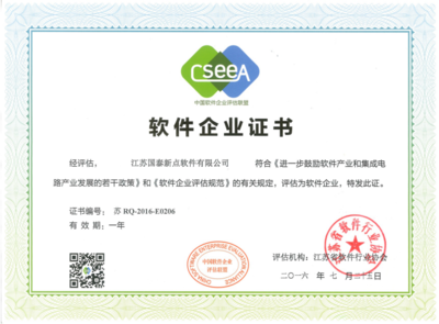 江蘇國泰新點軟件