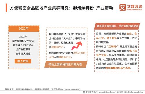 技術(shù)賦能與消費(fèi)驅(qū)動(dòng) 2024年中國方便粉面食品行業(yè)洞察與趨勢展望——基于中國食品科學(xué)技術(shù)學(xué)會(huì)與艾媒咨詢研究報(bào)告的交流探討