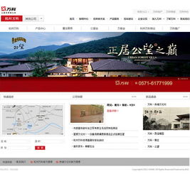 杭州頂尖品牌網(wǎng)站建設(shè)與軟件開發(fā) 數(shù)字化轉(zhuǎn)型的核心驅(qū)動力